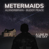 Metermaids - A Line In The Sky VINYL LP