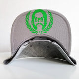 Sage Francis "A Healthy Distrust" Logo GREEN-on-HEATHER GREY Snapback