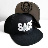Sage Francis "A Healthy Distrust" Logo WHITE/SILVER-on-BLACK Snapback
