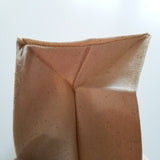 SFR Record Bag - TAN